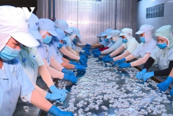 Xuất nhập khẩu vượt khó