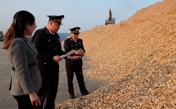 Áp dụng mức thuế suất thuế xuất khẩu 2% đối với mặt hàng dăm gỗ