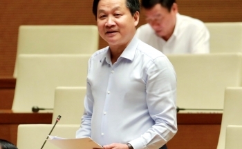 Phó Thủ tướng:  Xử lý 4 ngân hàng yếu kém, không để chứng khoán, trái phiếu tiềm ẩn rủi ro