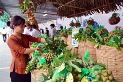 Xúc tiến, quảng bá nhãn Hưng Yên