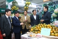 Hội chợ Đặc sản vùng miền Việt Nam 2018