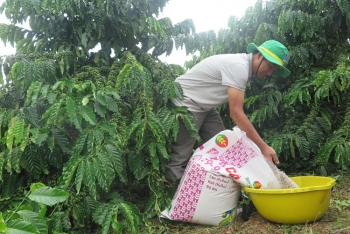 Chọn đúng phân bón để canh tác hiệu quả