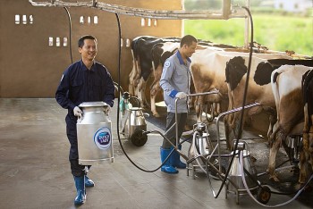 Tập đoàn FrieslandCampina: Thành công nhờ con đường phát triển bền vững