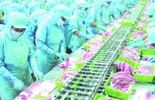 Nâng cao năng lực cạnh tranh để tăng tốc xuất khẩu vào Nhật Bản