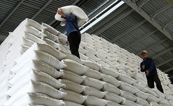 Hơn 432 tấn gạo được xuất cấp để hỗ trợ tỉnh Bình Phước