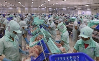 Lập hồ sơ mời thầu theo Hiệp định CPTPP, EVFTA, UKFTA