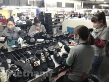 HSBC: Kinh tế Việt Nam vững vàng phục hồi giữa thách thức