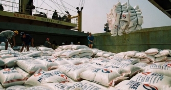 Bước tiến mới của gạo Việt Nam