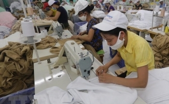 Hiệp định EVFTA mở rộng xuất khẩu hàng Việt vào thị trường Đan Mạch