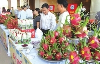 Sản phẩm, dịch vụ lợi thế của Bình Thuận: Kỳ vọng từ Chương trình OCOP