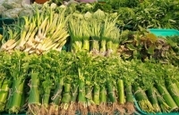 Doanh nghiệp bán lẻ chống rác thải nhựa: Nhìn từ thế giới đến Việt Nam