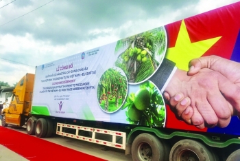 EVFTA được tận dụng tương đối thành công