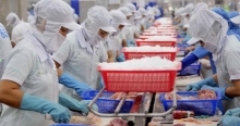 Xuất khẩu cá tra 7 tháng đã vượt cả năm 2021