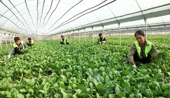 Hoàn thiện Luật Các tổ chức kinh tế hợp tác