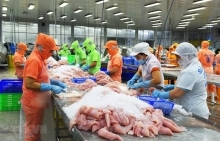 Mexico trở thành điểm sáng trong xuất khẩu cá tra của Việt Nam
