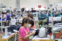 Hoa Kỳ chiếm gần 31% kim ngạch xuất khẩu cả nước