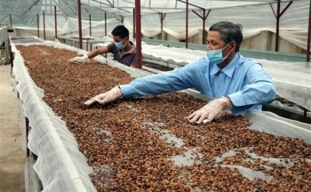 Khuyến cáo doanh nghiệp Việt Nam cẩn trọng khi xuất khẩu sang Italy