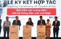 BIC cung cấp gói bảo hiểm sản lượng điện cho giải pháp điện mặt trời BigK