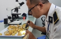 Từ 1/9 bắt buộc kiểm dịch thực vật nông sản xuất khẩu sang châu Âu