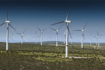 Gia Lai: Khởi công 2 dự án điện gió với tổng mức đầu tư trên 3.600 tỷ đồng