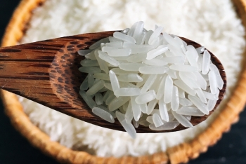 Xuất khẩu gạo sang EU: Đừng để lỡ cơ hội