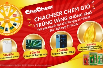 Vedan 30 năm, chuyến xe hành trình