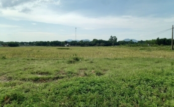 Rà soát lại việc lựa chọn chủ đầu tư Cụm công nghiệp CN2 Mai Đình