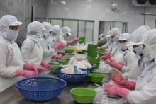 Xuất khẩu cá ngừ sang Bỉ duy trì mức tăng trưởng cao