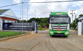 THILOGI cung ứng dịch vụ vận chuyển gia súc chuyên nghiệp