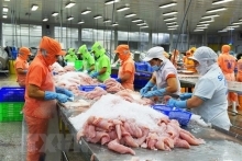 Xuất khẩu cá tra ứng phó với khó khăn do lạm phát