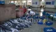 Bộ Công Thương cam kết hỗ trợ tiêu thụ thủy sản an toàn tồn kho tại Huế