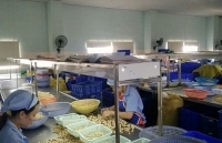 Ngành Công Thương Đắk Nông: Giữ vững đà tăng trưởng ổn định, bền vững