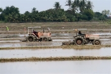 Chuẩn bị phương án lấy nước phục vụ gieo cấy lúa vụ Đông Xuân