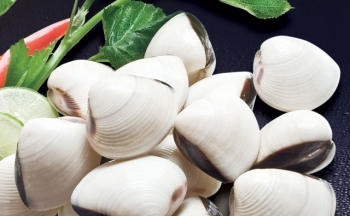 Xuất khẩu nghêu vẫn tăng mạnh trong tháng 8