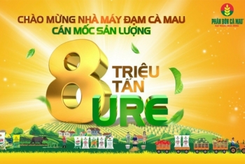 Phân bón Cà Mau cán mốc 8 triệu tấn urê, hành trình nỗ lực không ngừng vì nông nghiệp