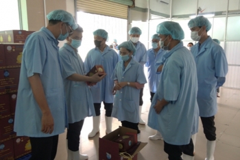 Từng bước hạn chế vi phạm về an toàn thực phẩm