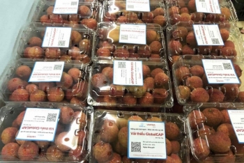 Thương mại điện tử xuyên biên giới: Tập trung vào sản phẩm lợi thế