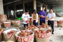 Bộ Công Thương: Đẩy mạnh xúc tiến thương mại trên nền tảng số, mở rộng cơ hội thị trường cho hàng Việt