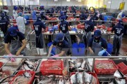 Gia nhập Cộng đồng kinh tế ASEAN: Chủ động từ doanh nghiệp