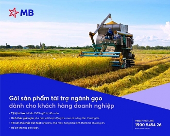 MB đồng hành tháo gỡ khó khăn cho doanh nghiệp gạo, điều