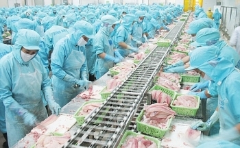Cá tra xuất khẩu sang Brazil tăng hơn 1,5 lần
