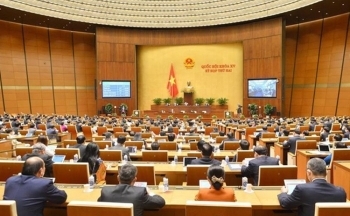 Hải Phòng được tự quyết chuyển mục đích sử dụng đất trồng lúa dưới 500ha