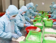 Xuất khẩu tôm năm 2021 dự báo đạt hơn 3,8 tỷ USD