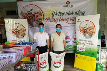 Phân bón Cà Mau đồng hành cùng nông dân trồng thanh long