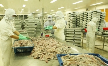 Mời tham dự Hội nghị Thượng đỉnh Đối tác “Partnership Summit” tại Ấn Độ