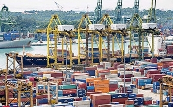 Thương mại song phương Việt Nam - Ấn Độ vượt 12 tỷ USD trong 11 tháng