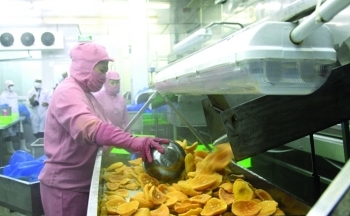 320 mã nông sản thực phẩm Việt Nam được nhập khẩu vào Trung Quốc