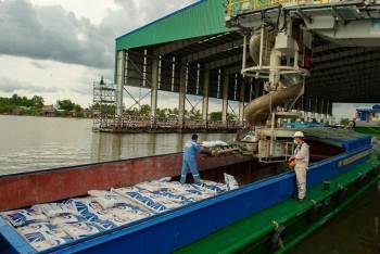 Phân bón Cà Mau đạt Top 10 Báo cáo thường niên tốt nhất năm 2021