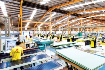 Những dự báo lạc quan