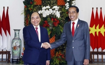 Chủ tịch nước Nguyễn Xuân Phúc hội đàm với Tổng thống Indonesia